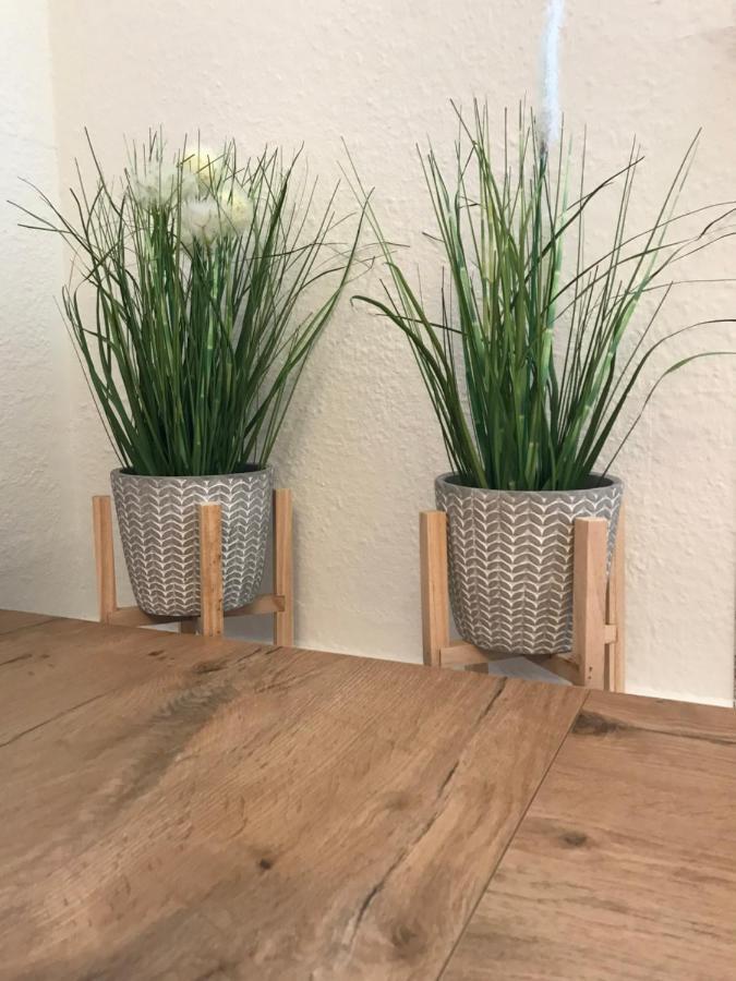 לייפציג Ferienwohnung Schroeder מראה חיצוני תמונה